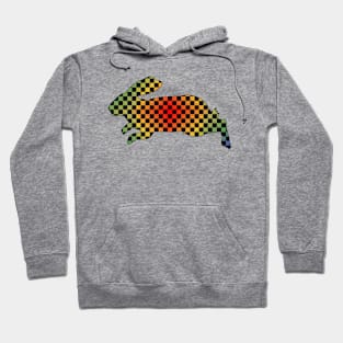 Rainbow Checkerboard Rabbit Hoodie